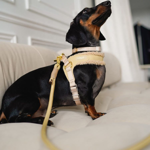 طقم حبل قوي مخصص مع طوق للكلاب قابل للتعديل من الجلد الصناعي الفاخر نصف الأصلي مع بطانة ناعمة من الجلد النباتي - Product Image 2