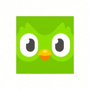 Cuenta Global de Duolingo, Duolingo Premium, Duolingo Super, 1 Año, 1, 3, 6, 12 Meses, Vincula tu Cuenta - Product Image 3