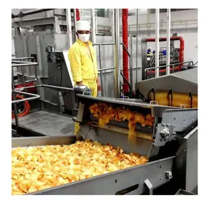Línea de producción de freidora de patatas fritas congeladas pequeñas totalmente automática Industrial, máquina para hacer patatas fritas a la venta