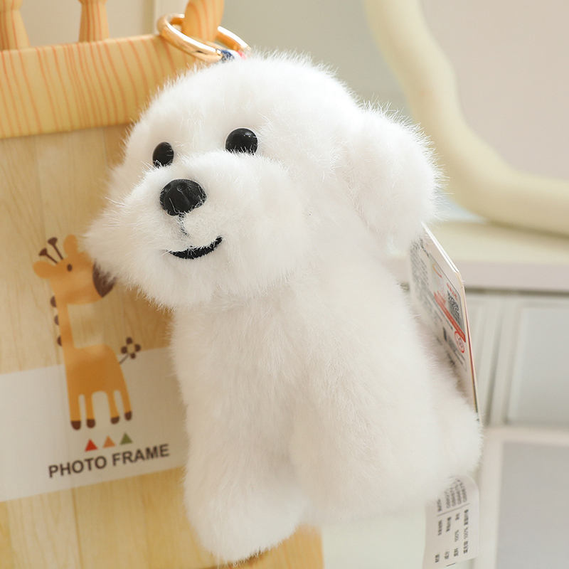 Bichon frise