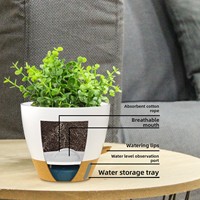 Pot de fleur vert lierre en plastique auto-absorbant vente directe du fabricant Niveau d'eau visible pour balcon cour latérale eau