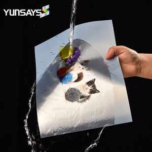 Pegatina <span class=keywords><strong>de</strong></span> vinilo imprimible, papel adhesivo <span class=keywords><strong>de</strong></span> inyección <span class=keywords><strong>de</strong></span> tinta para mascotas cepilladas, venta al por mayor, autoadhesivo láser <span class=keywords><strong>de</strong></span> inyección <span class=keywords><strong>de</strong></span> tinta imprimible A4 en blanco, plata brillante - Product Image 6