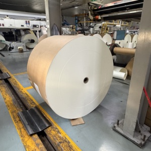 Rouleau de papier couché PE à surface mate, pâte vierge 170 g/m², rouleau jumbo, largeur personnalisée pour emballage alimentaire jetable, fabricant d'usine - Product Image 6