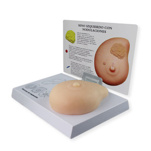Modèle de sein en silicone pour l'auto-examen et l'enseignement médical - Product Image 2