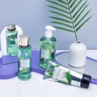 Distributeurs de parfums, parfums originaux, vaporisateurs pour le corps et parfums, brumes pour le corps, 250 ml, parfums personnalisés, parfums pour femmes