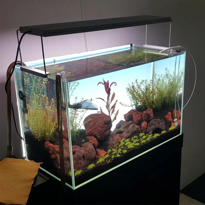 Лидер продаж, светодиодная лампа для аквариума, освещение для аквариума для роста растений, 600*450 мм