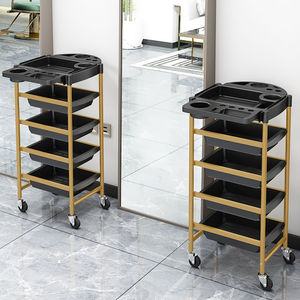 Carrito de Peluquería de Lujo 2025, Carrito de Herramientas para Salón de Belleza, Estantes de Almacenamiento Multifuncionales, Carrito para Planchado y Tinte de Cabello para Barbería - Product Image 3
