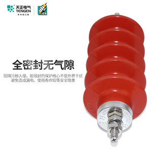 Tianzheng Zinc <b>Oxide</b> Surge Arrester YH5WS-17/50 17KV 5KA Outdoor Type - Product Image 4