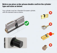 Système Ttlock ou Tuya Cylindre de serrure intelligent universel européen Serrure à cylindre intelligente