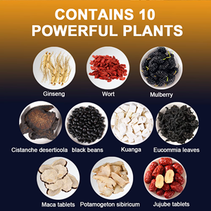 OEM ODM Prêt à expédier – Sachets de tisane aux huit herbes de ginseng, mélange naturel de maca, jujube et mûre, favorise l'énergie et la vitalité – 20 sachets - Product Image 3