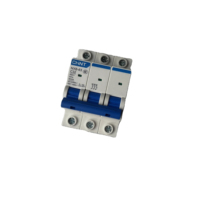 Disjoncteur miniature CHINT 63A NXB-63-C32/3P 110/220V, structure plastique et métallique, certifié CCC, équipement de distribution d'énergie