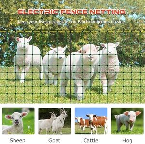 Màu Xanh Lá Cây điện PP hàng rào <span class=keywords><strong>Net</strong></span> đôi chỉ cừu lưới 3 'Chiều cao x 164' Chiều dài phong cách cao hàng rào Panels cho công viên ngoài trời sử dụng - Product Image 2