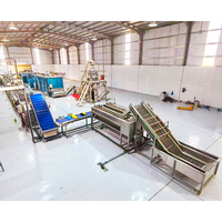 KAYA Automatische Blauwe Bes Mango Appel Bubbelreinigingsmachine voor Dragon Fruit en Sla met Motor, 500kg Capaciteit