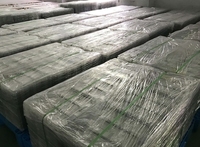 بطارية ليثيوم-أكسيد التيتانيوم MASON ذات الدورة العميقة والعمر الطويل 2.4 فولت 10 أمبير 30-50C 1500 دورة، بطارية كيسية للسيارات الكهربائية ونظام تخزين الطاقة وبدء تشغيل السيارة، ضمان 3 سنوات
