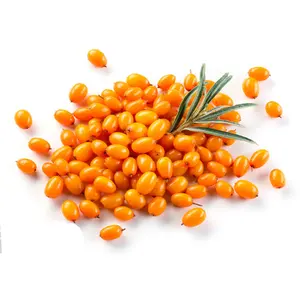 Sea Buckthorn Fruit Extracts Powder Organic Pure Natural Sea Buckthorn Juice Powder