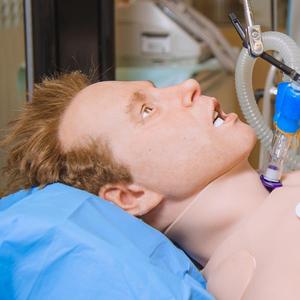 Mannequin de simulation pour adultes Leonardo pour ponction guidée par échographie, cathétérisme veineux central et artériel, et ponction lombaire - Product Image 3