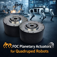 Motor de Engranajes Planetarios de 48v CC con Codificador Magnético Dual para Robots Cuadrúpedos, Robots Humanoides y Brazos Robóticos