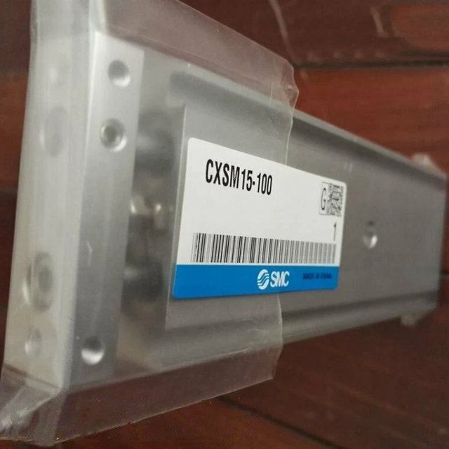 New CXSM15-100 Cylinder CXSM15100