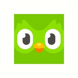 Cuenta Premium Duolingo Pro 1 Año, Activa Tu Propia Cuenta, Aplicable Globalmente en Todo el Mundo - Product Image 3