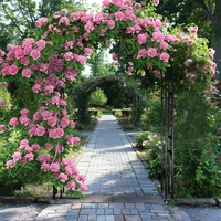Arche de jardin en métal : Arche décorative d'extérieur, portique, cadre d'arche de mariage pour allées, entrées et plantes grimpantes