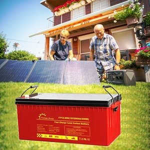 Batterie <span class=keywords><strong>Solax</strong></span> <span class=keywords><strong>Triple</strong></span> <span class=keywords><strong>Power</strong></span> 5,8 kW 12 V 200 Ah scellée GEL au plomb-acide pour fauteuils roulants électriques et onduleurs - Product Image 4