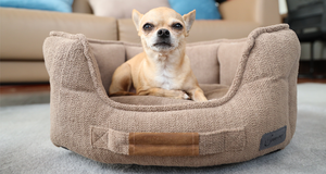 Hunde bett wasch bar tragbare Hunde betten mit Griff Anti-Rutsch-Hunde bett - Product Image 6