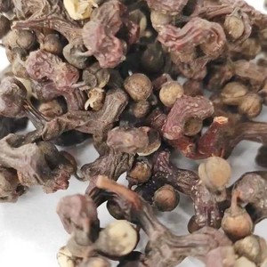 Graine d'arbre à raisin <span class=keywords><strong>Hovenia</strong></span> <span class=keywords><strong>Dulcis</strong></span> (Poire à bec d'oiseau, Fruit de longévité, Poire à patte de poulet) séchée pour le thé et le vin 1kg Complément alimentaire - Product Image 4