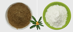 Pinredit Bubuk Ekstrak Daun Loquat Organik Alami, Asam Ursolat - Product Image 2