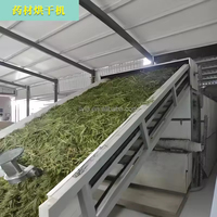 Máquina secadora de materia prima alimentaria, secador de cinta transportadora continua, secador de malla, secador transportador