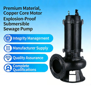 Large Flow Submersible Sewage <b>Pump</b> for Pond and Septic Tank Cleaning - Product Image 3