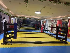 Ring <span class=keywords><strong>de</strong></span> Boxeo Plegable <span class=keywords><strong>de</strong></span> 4x4m con Logotipo Personalizado, <span class=keywords><strong>de</strong></span> Alta Calidad, Acero Resistente, Cuero PVC, Profesional para Boxeo, MMA, <span class=keywords><strong>Muay</strong></span> <span class=keywords><strong>Thai</strong></span>, UFC - Product Image 6