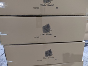 Cactus mexicain artificiel de grande taille, bonsaï, arbustes, 101 cm, DT1609, intérieur/extérieur, réaliste, durable - Product Image 6