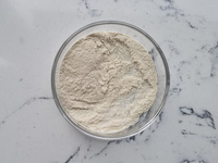 Poudre de Xylanase de bonne qualité de vente d'usine