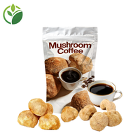 Poudre de café aux champignons biologique, mélange de champignons, extrait de plantes mélangées, marque privée OEM
