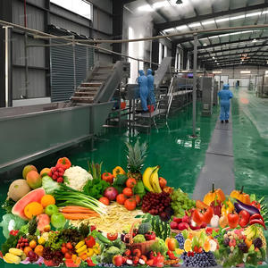 Équipement <span class=keywords><strong>de</strong></span> Traitement Automatisé et Personnalisable pour la Concentration <span class=keywords><strong>de</strong></span> Sauce Tomate, Ensemble Complet pour le Remplissage <span class=keywords><strong>de</strong></span> Miel/Pâte <span class=keywords><strong>de</strong></span> <span class=keywords><strong>Poire</strong></span>/Sauce Pimentée - Product Image 4