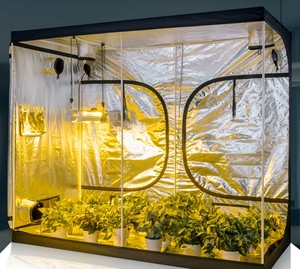Factory hydroponic grow tent bestseller indoor 48"x48"x78" grow box mylar grow tent full kit greenhouse