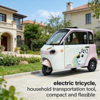 Tricycle électrique à énergie nouvelle avec batterie au lithium et amortissement hydraulique fermé