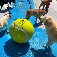 Balle d'eau interactive de qualité commerciale pour chien, résistante aux morsures, jouet rafraîchissant pour hôtels et centres aquatiques pour animaux de compagnie