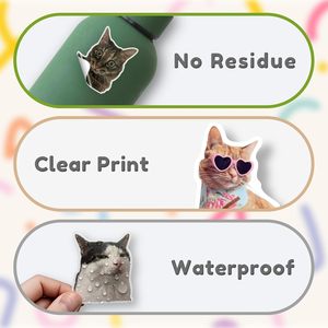 Pegatinas Divertidas de Memes de Gatos a Prueba de Agua Personalizadas, Etiquetas de Vinilo Kawaii para Laptop, Botella de Agua, Carcasa de Teléfono, Decoración DIY - Product Image 4