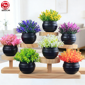 Ensembles <span class=keywords><strong>de</strong></span> <span class=keywords><strong>mini</strong></span>-plantes succulentes artificielles en plastique en gros, fausses plantes, cadeaux, décorations d'intérieur - Product Image 2