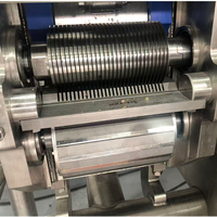 3D Multifunctionele Vriesvlees-, Groente- en Fruit-snijmachine, Kubus-snijder en -versnipperaar voor voedselverwerking