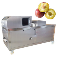 Olijvenontpitter CE-gecertificeerd 2,2 kW motor multifunctionele kersenontpitter fruitextractie werkplaatsmachine