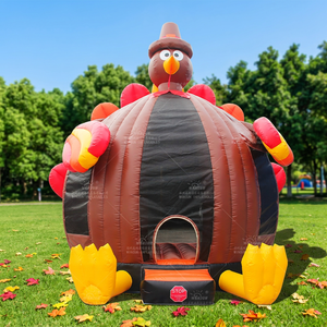 WINSUN Parque de Diversiones Inflable con Temática de Turquía, Equipo de Entretenimiento, Castillo Inflable de PVC, Combo de Trampolín, Impermeable, con Certificación CE - Product Image 1