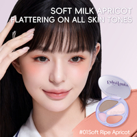Grosir OEM/ODM MOQ Rendah Tahan Lama All In One Soft Peach Multi-fungsi Tray Tone Blush Bronzer Highlighter Bedak Wajah