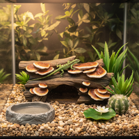 Cachettes et grottes décoratives pour reptiles, logement en bois pour se cacher, grotte pour reptiles