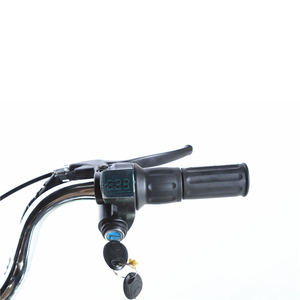 จักรยานวินเทจขนาด 24 นิ้ว แบบ Step Through สำหรับในเมือง 36V 350W สไตล์เรโทร - Product Image 3