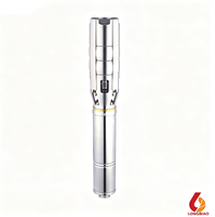 Pompe submersible solaire DC en acier inoxydable de 6 pouces, grande diamètre, pour puits profond, pompe centrifuge pour l'approvisionnement en eau des fermes