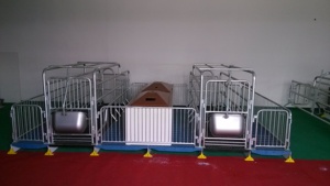 Caisse de mise bas pour porcs avec couvercle Cage pour animaux incubateur porcelet - Product Image 6