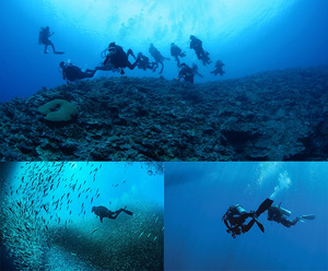 Aletas de <span class=keywords><strong>Buceo</strong></span> ZMZ DIVE FZ08 con Talón Abierto PP+TPR - Certificación ISO9001, Servicio OEM/ODM para Snorkel y <span class=keywords><strong>Buceo</strong></span> Libre (MOQ Bajo) - Product Image 2