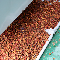 Stoom/Gas Verwarming Fruitdroger Sinaasappelschil Kokoscopra Apple Residu Drogen Machine Palmvezel Kernel Droogmachine